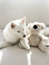 Load image into Gallery viewer, Koko Maxi Plushie