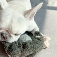 Load image into Gallery viewer, PEA POP // ENRICHMENT TOY // SNUFFLE TOY