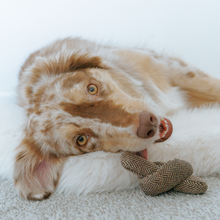 Load image into Gallery viewer, Birthday Cake // SNUFFLE + BURROW TOY SET