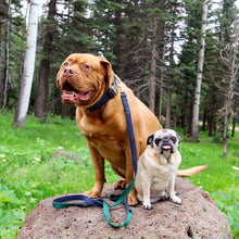 Load image into Gallery viewer, Railroad Canvas Denim Dog Collar