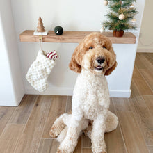 Load image into Gallery viewer, XMAS STOCKING//ENRICHMENT DOG TOY // HOLIDAY
