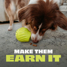 Load image into Gallery viewer, Pawbler by Benebone