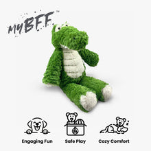 Load image into Gallery viewer, My BFF Cranky
