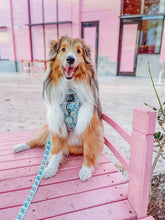 Load image into Gallery viewer, ‘Pup Pup Hooray’ Adjustable Harness by Sassy Woof