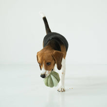 Load image into Gallery viewer, TOTO // ENRICHMENT DOG TOY // Silent // Snuffle Smaller Ball