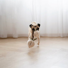 Load image into Gallery viewer, MOMO//ENRICHMENT DOG TOY