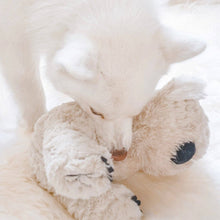 Load image into Gallery viewer, Koko Maxi Plushie