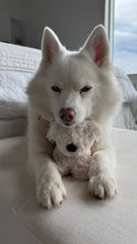 Load image into Gallery viewer, Koko Mini Plushie