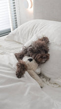 Load image into Gallery viewer, Koko Maxi Plushie