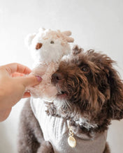 Load image into Gallery viewer, Koko Mini Plushie