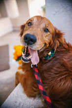 Load image into Gallery viewer, Buffalo Plaid Flannel Dog Leash - 5 colors!