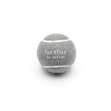 Load image into Gallery viewer, So Fetch! Tennis Ball - Steel