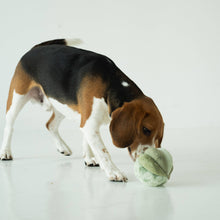 Load image into Gallery viewer, TOTO // ENRICHMENT DOG TOY // Silent // Snuffle Smaller Ball