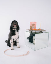 Load image into Gallery viewer, Salmon & Carrots Dog Treats