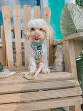 Load image into Gallery viewer, ‘Pup Pup Hooray’ Adjustable Harness by Sassy Woof