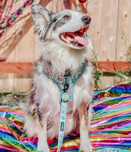 Load image into Gallery viewer, ‘Pup Pup Hooray’ Adjustable Harness by Sassy Woof