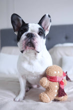 Load image into Gallery viewer, MISTER GINGERBREAD// Holiday Toy// Enrichment Dog Toy