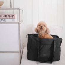 Load image into Gallery viewer, CITY//PET CARRIER