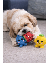 Load image into Gallery viewer, Fruitie Cuties Foodies Ruff-Tex, 3 pack
