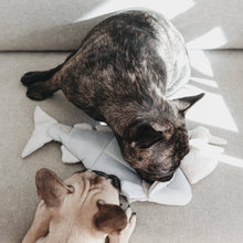 Load image into Gallery viewer, TROUT//ENRICHMENT DOG TOY