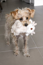 Load image into Gallery viewer, Koko Mini Plushie