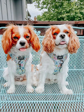 Load image into Gallery viewer, ‘Pup Pup Hooray’ Adjustable Harness by Sassy Woof