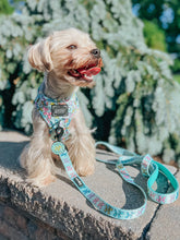 Load image into Gallery viewer, ‘Pup Pup Hooray’ Adjustable Harness by Sassy Woof