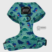 Load image into Gallery viewer, ‘Dino Darling’ Adjustable Harness by Sassy Woof