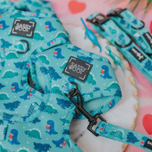 Load image into Gallery viewer, ‘Dino Darling’ Adjustable Harness by Sassy Woof