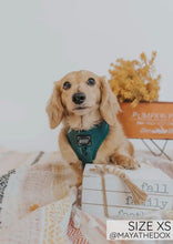 Load image into Gallery viewer, ‘Forest’ Adjustable Harness by Sassy Woof