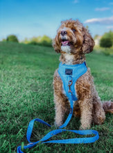 Load image into Gallery viewer, ‘Blumond’ Fabric Leash by Sassy Woof