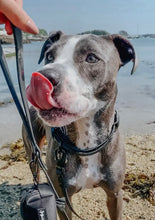 Load image into Gallery viewer, Waterproof Leash by Sassy Woof