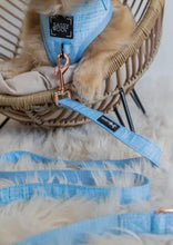 Load image into Gallery viewer, ‘Blumond’ Fabric Leash by Sassy Woof