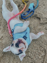 Load image into Gallery viewer, ‘Blumond’ Waste Bag Holder