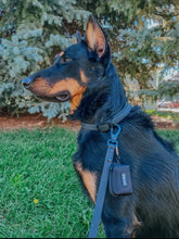 Load image into Gallery viewer, Waterproof Leash by Sassy Woof