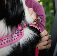 Load image into Gallery viewer, Car Seatbelt for Dogs