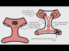 Load image into Gallery viewer, ‘Blumond’ Adjustable Harness by Sassy Woof
