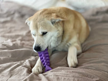 Load image into Gallery viewer, Fish Bone Nylon by Soda Pup