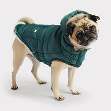 Load image into Gallery viewer, GF Pet Super Puff Parka Teal