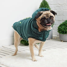 Load image into Gallery viewer, GF Pet Super Puff Parka Teal