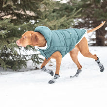 Load image into Gallery viewer, GF Pet Super Puff Parka Teal