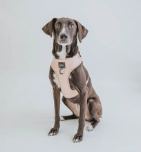 Load image into Gallery viewer, ‘Pinot’ Adjustable Harness by Sassy Woof