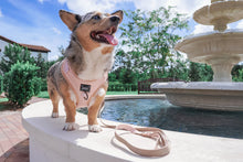 Load image into Gallery viewer, ‘Pinot’ Adjustable Harness by Sassy Woof