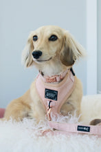Load image into Gallery viewer, ‘Pinot’ Adjustable Harness by Sassy Woof