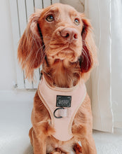 Load image into Gallery viewer, ‘Pinot’ Adjustable Harness by Sassy Woof