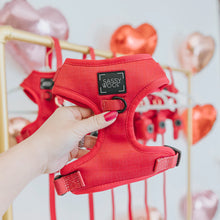 Load image into Gallery viewer, ‘Merlot’ Adjustable Harness by Sassy Woof