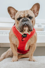 Load image into Gallery viewer, ‘Merlot’ Adjustable Harness by Sassy Woof