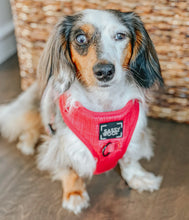 Load image into Gallery viewer, ‘Merlot’ Adjustable Harness by Sassy Woof