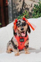 Load image into Gallery viewer, ‘Merlot’ Adjustable Harness by Sassy Woof