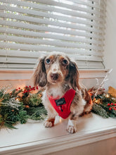 Load image into Gallery viewer, ‘Merlot’ Adjustable Harness by Sassy Woof